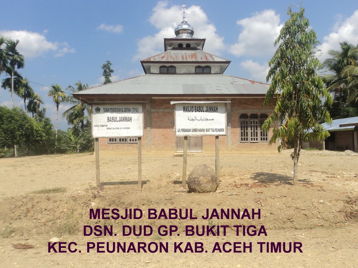 BABUL JANNAH