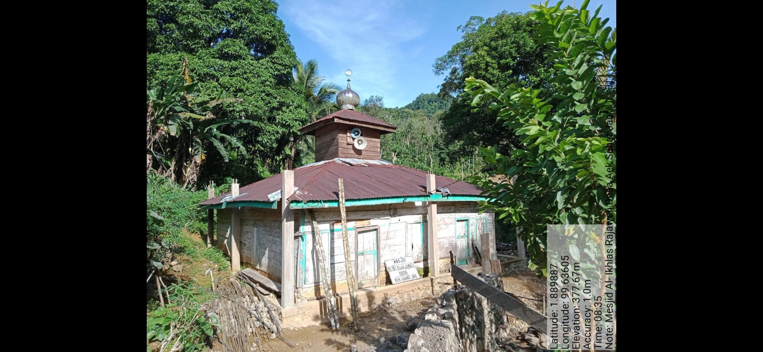 Raja Wali