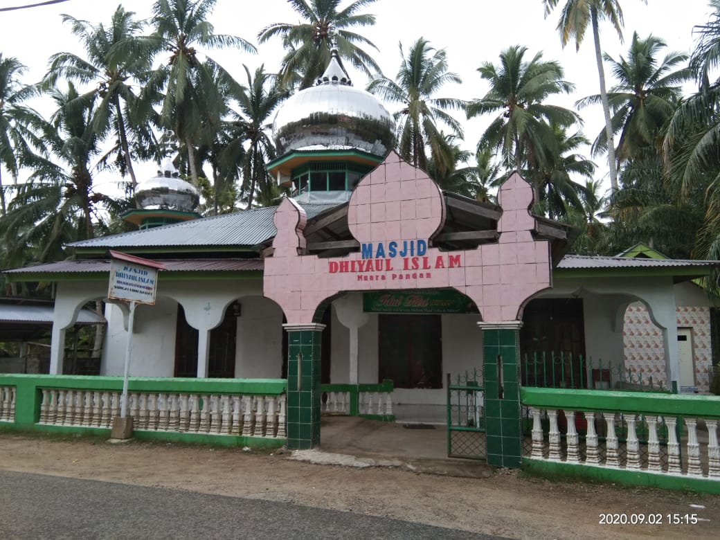 DIYAUL ISLAM