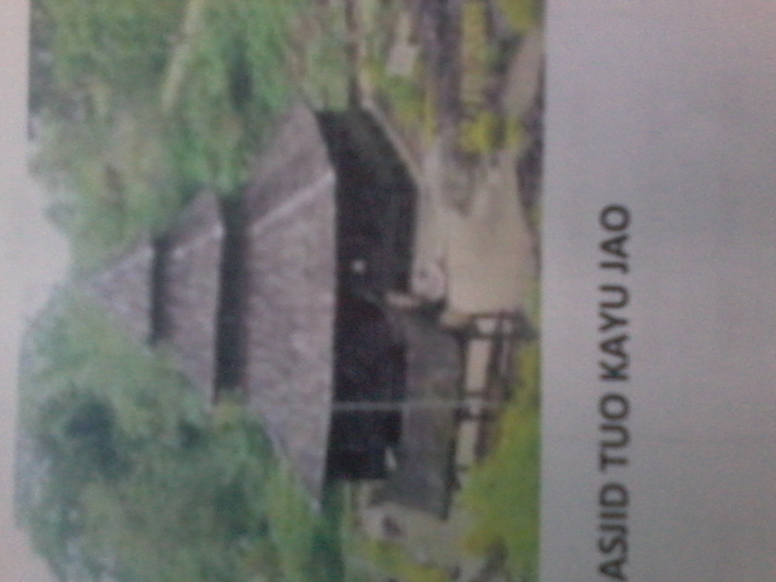 TUO KAYU JAO