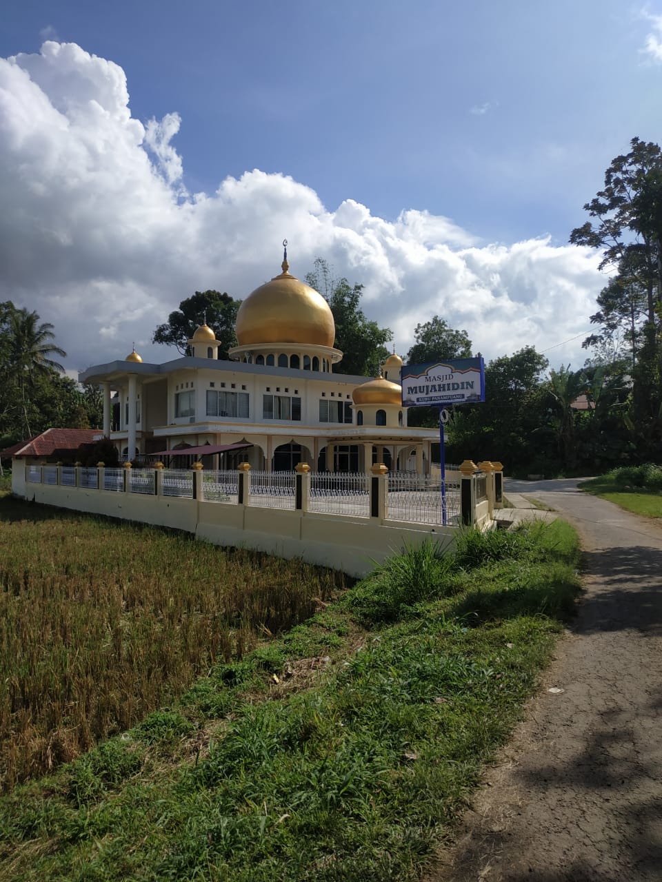Mujahidin