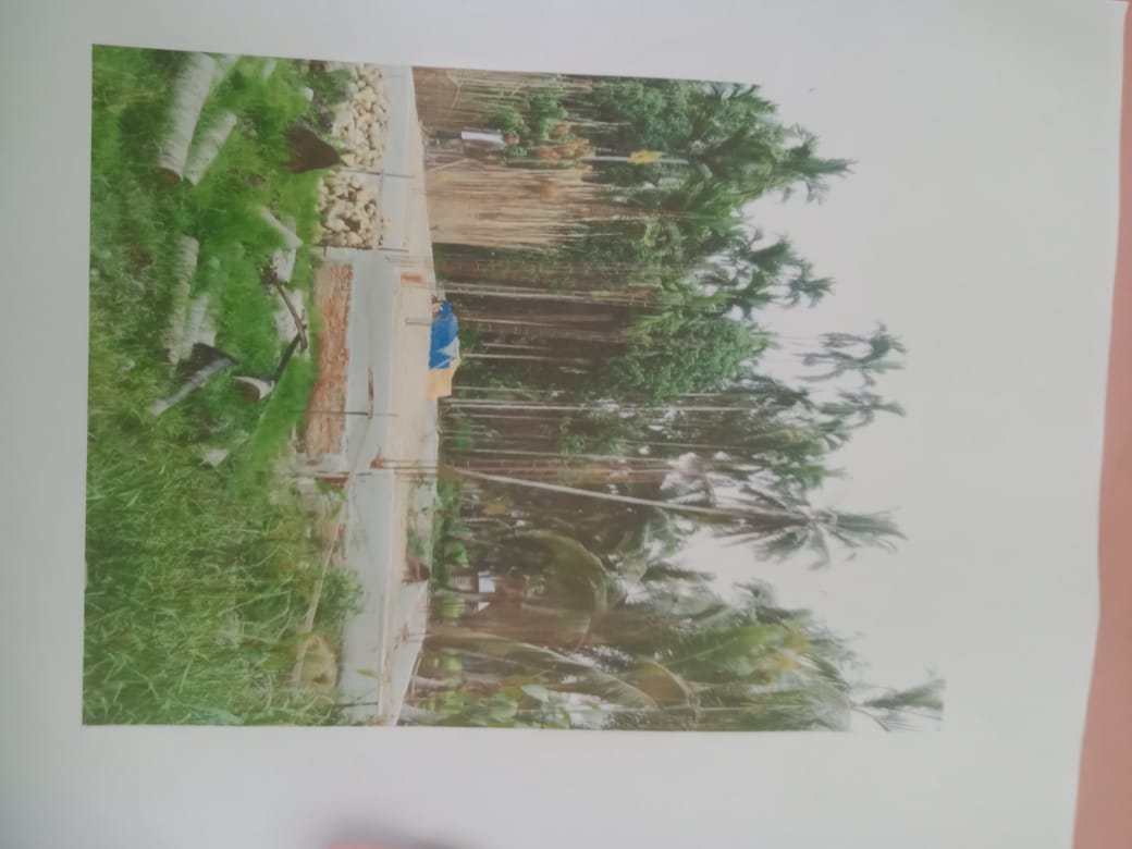 AL-FURQON