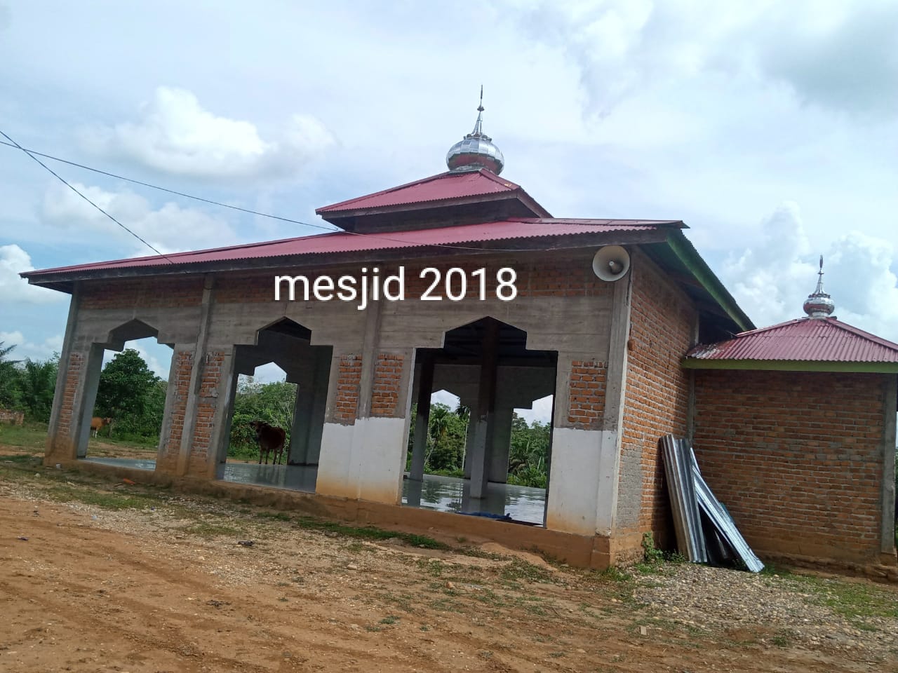 BIRWALI