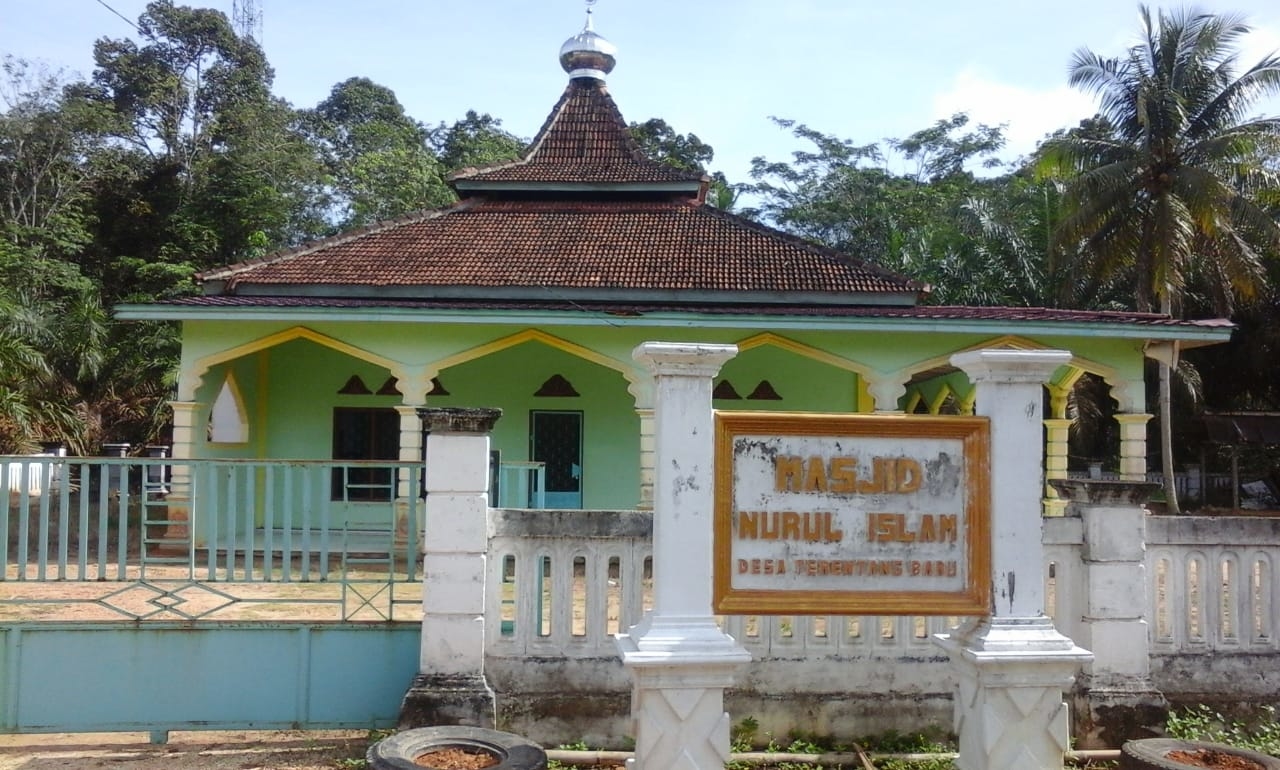 Nurul Islam