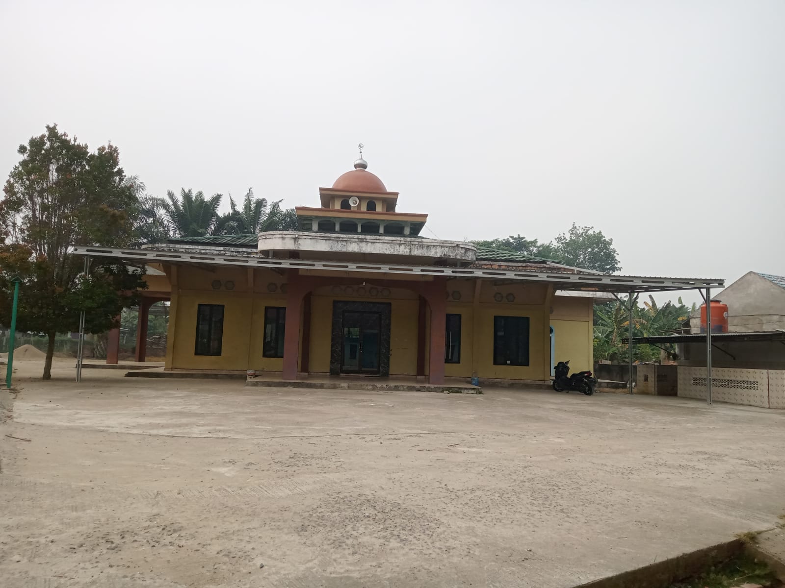 ABU WARDAH