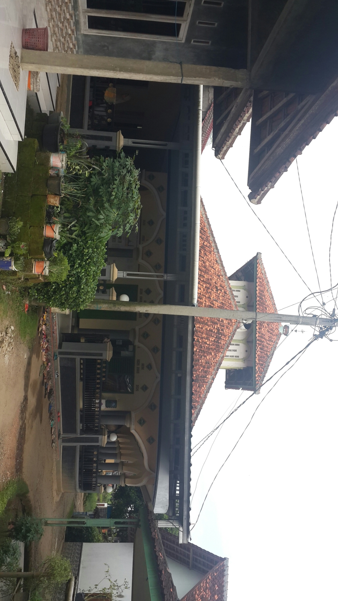 NURUL HASAN