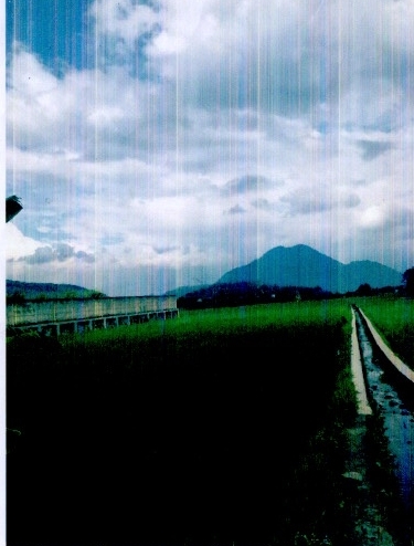 AL-FIRDAUS