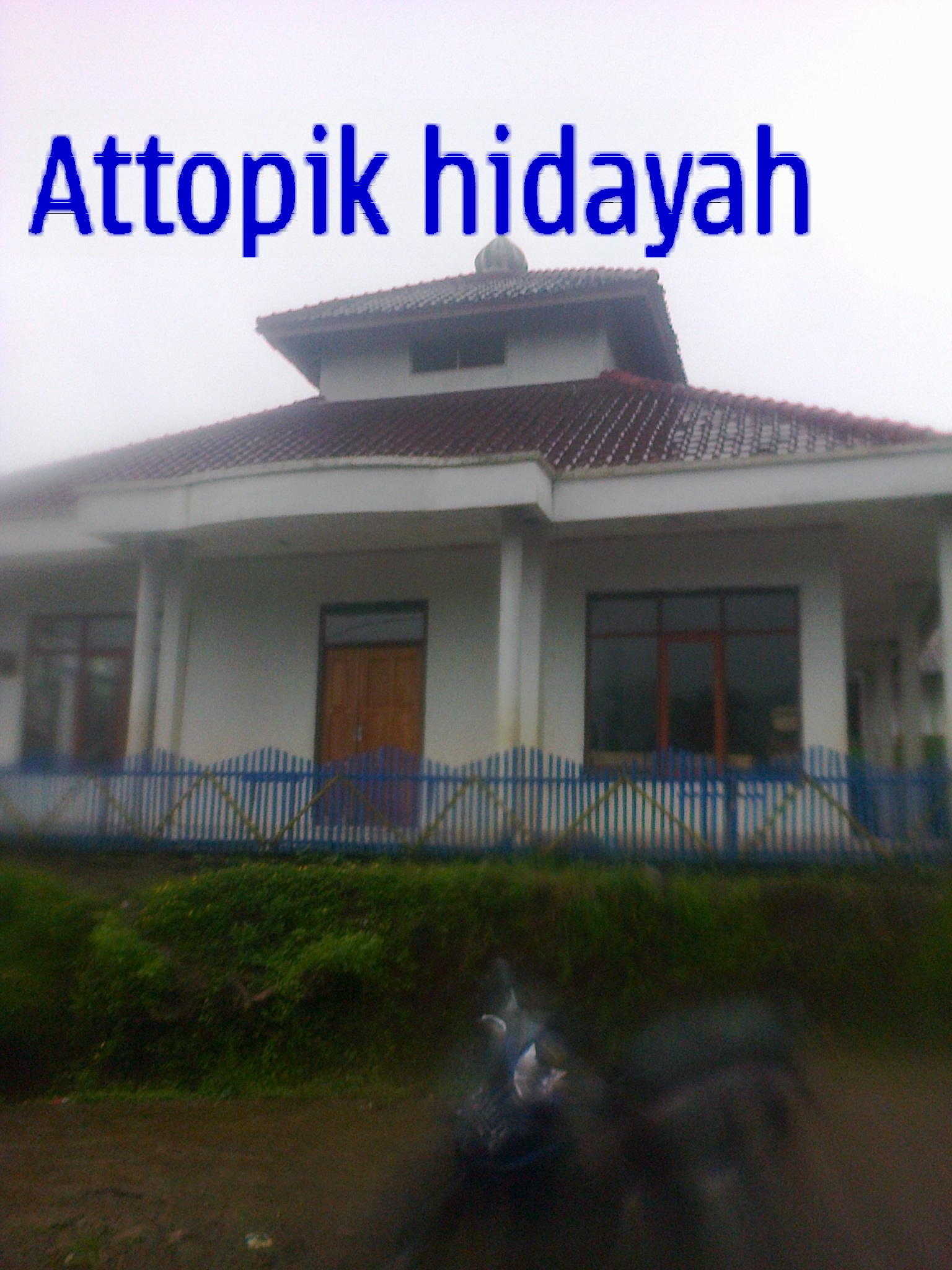 ATTAUPIQ HIDAYAT