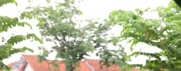BAITURRAHMAN