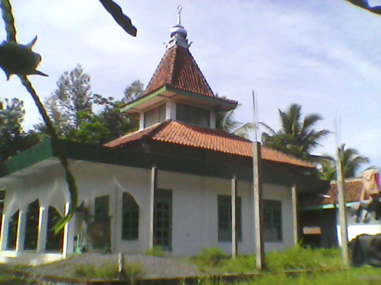 ALI BIN ABI THOLIB