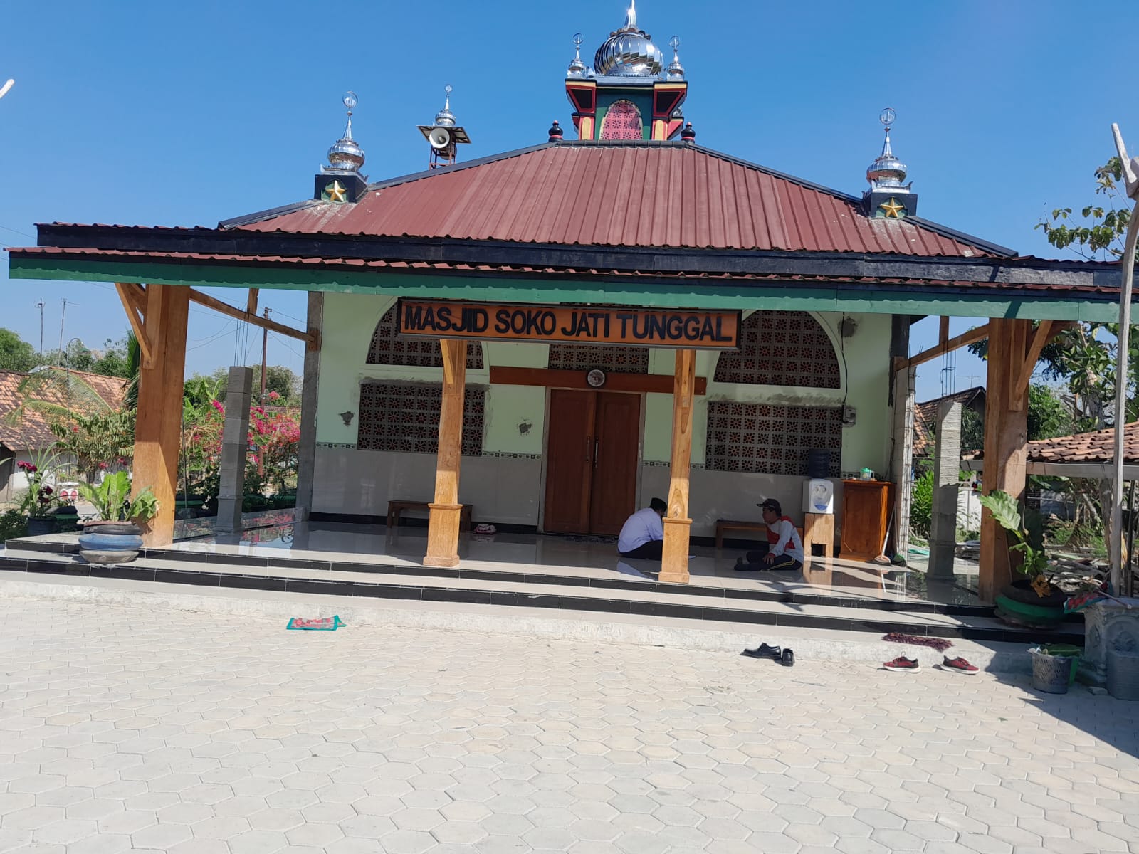 SOKO JATI TUNGGAL