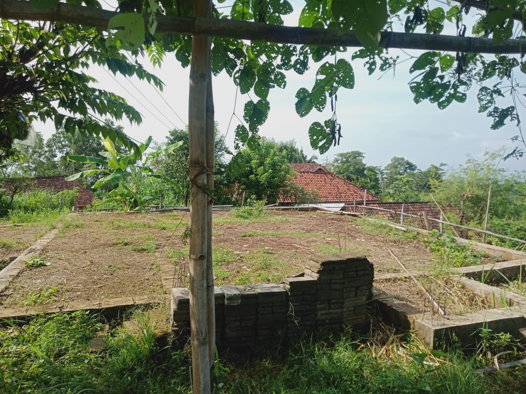 MIFTAHUL LATIF