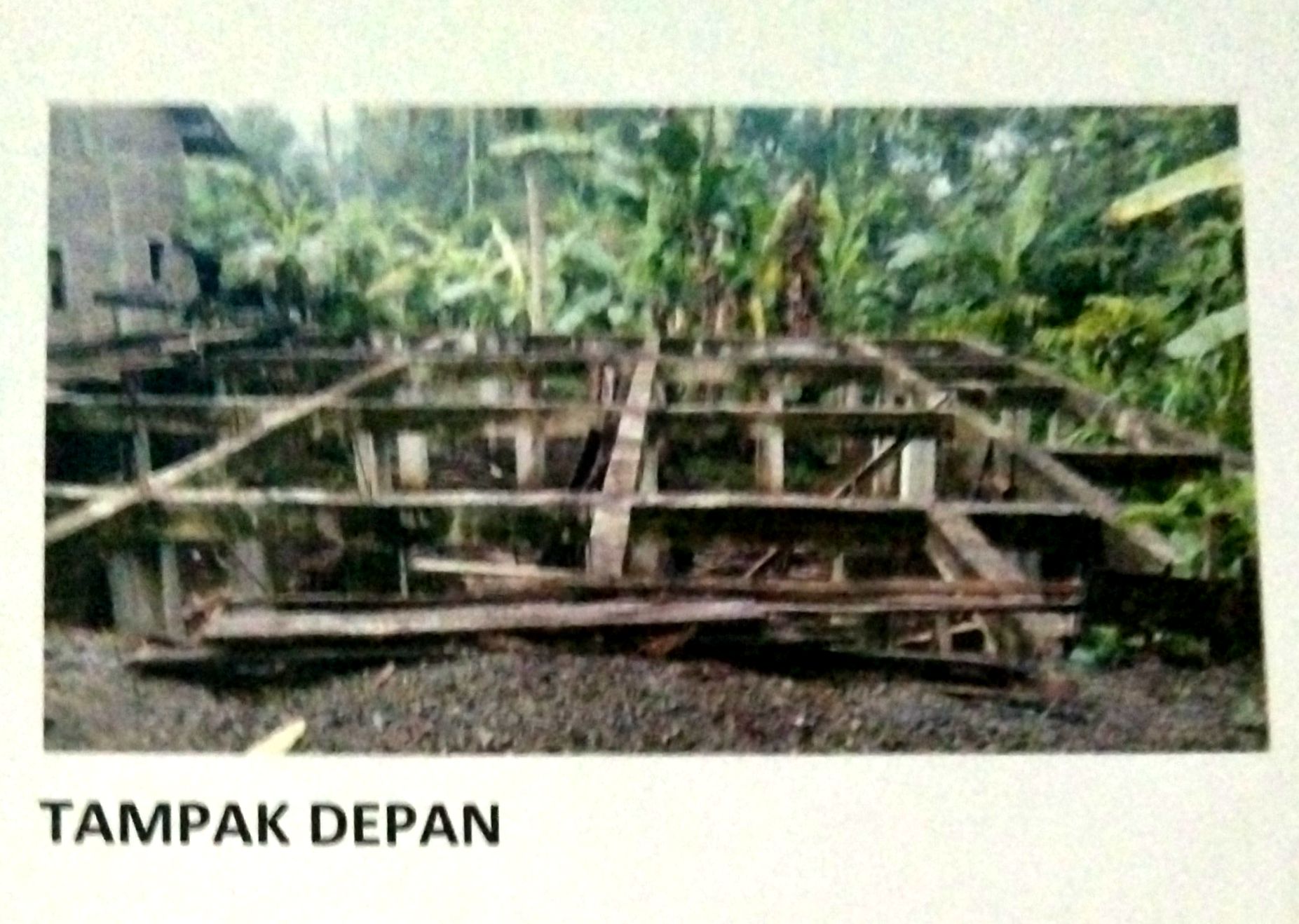 NURUS SYAFA'AH