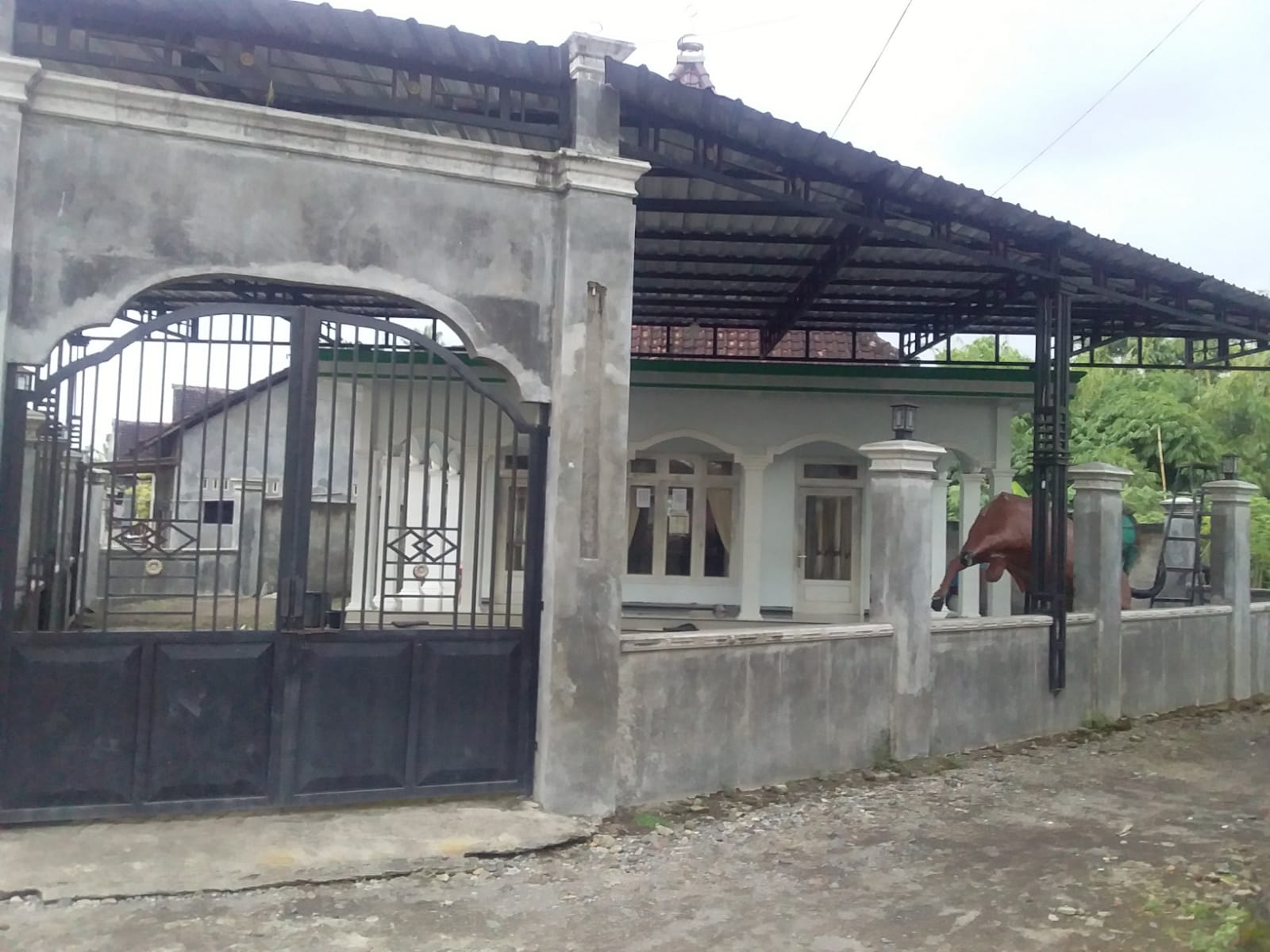 NU NURUL JADID
