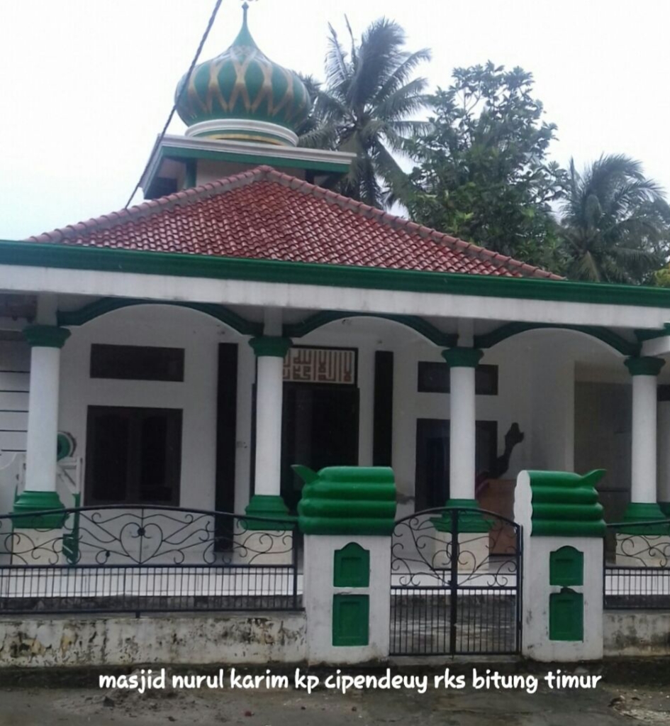 NURUL KARIM