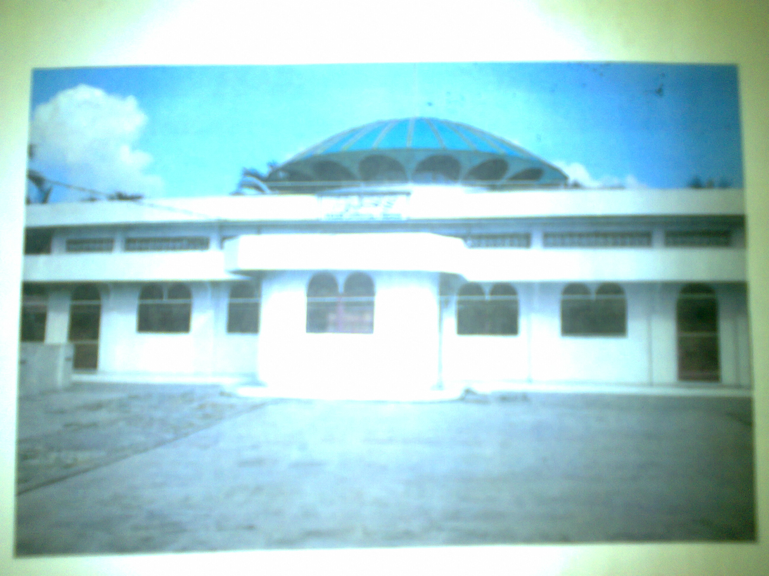 Jannatul Firdaus