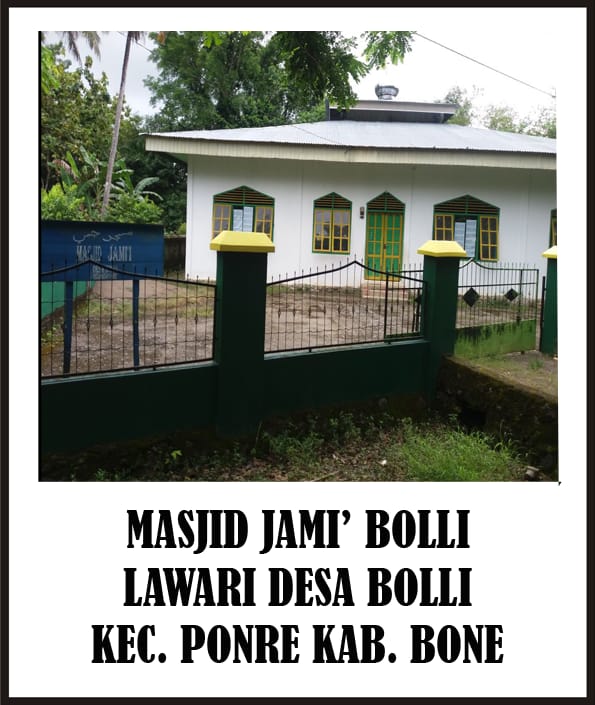 JAMI BOLLI