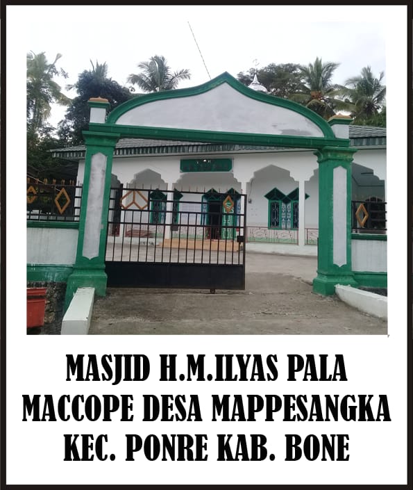 Muh. Ilyas Pala