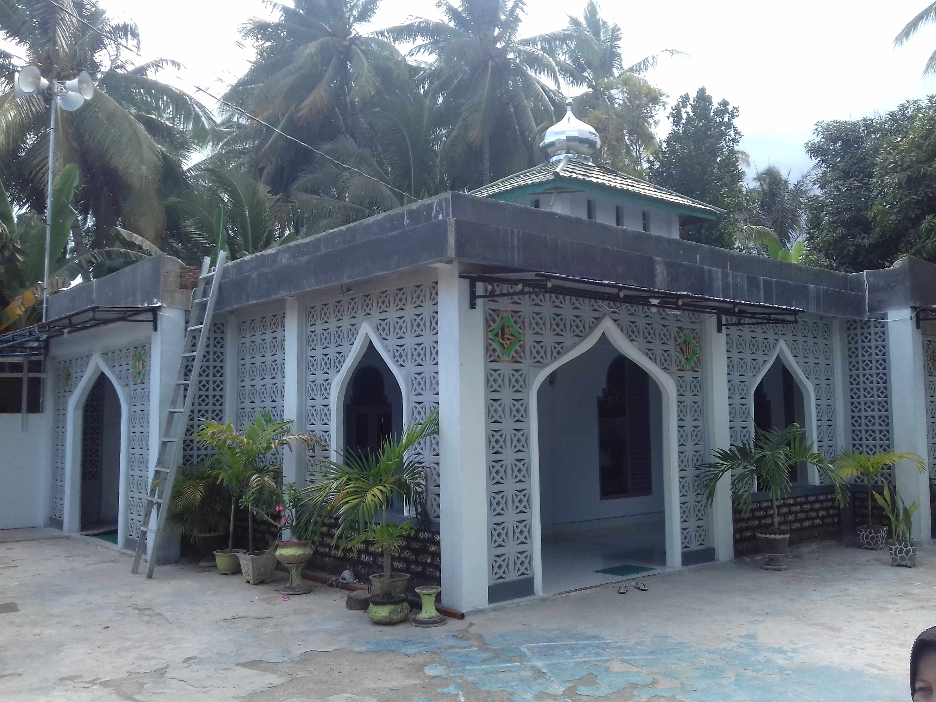 Mantasya