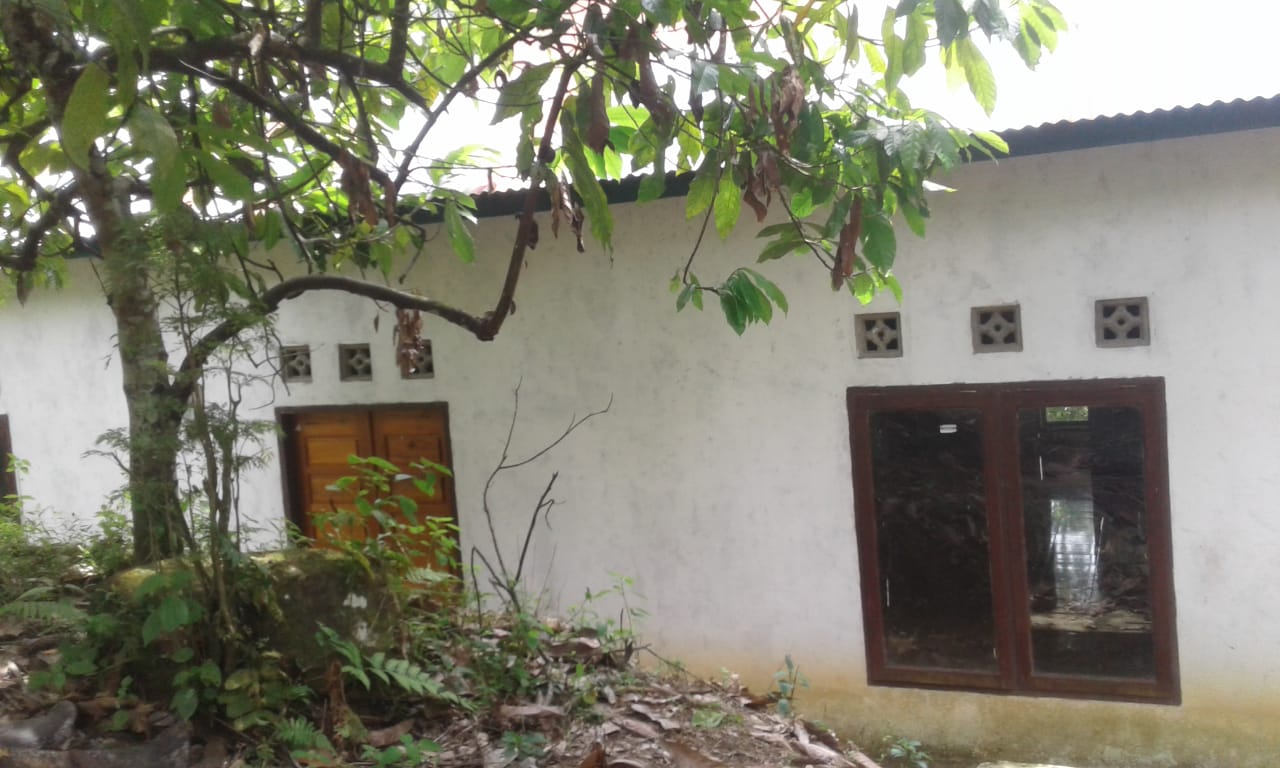 SURAU LUBUK KOTAN