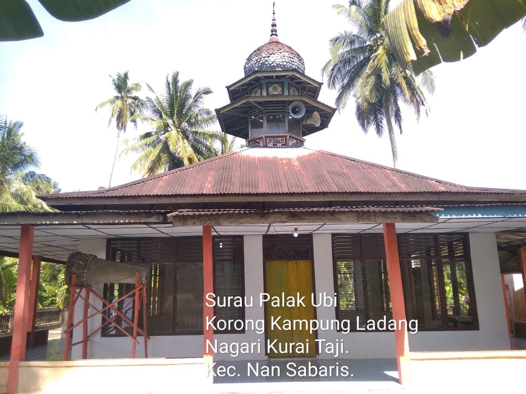 PALAK UBI