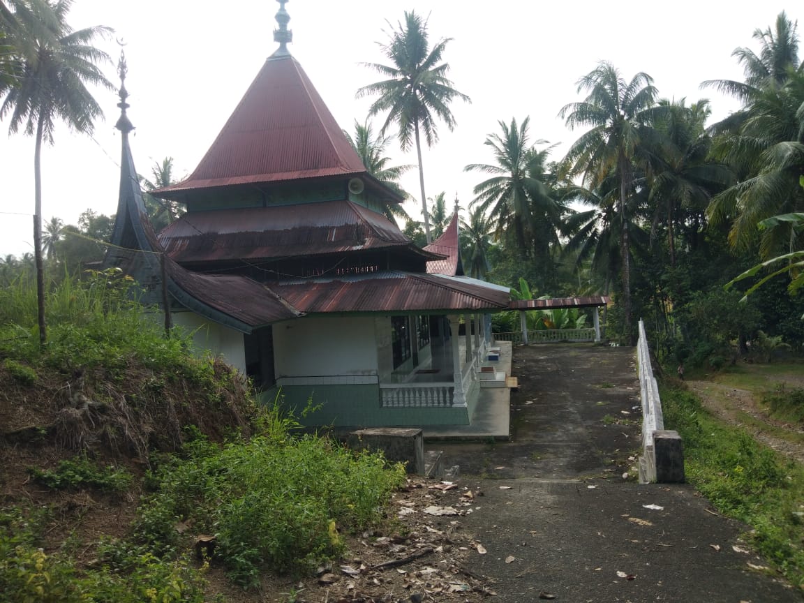 TUMBUAN PANDAN