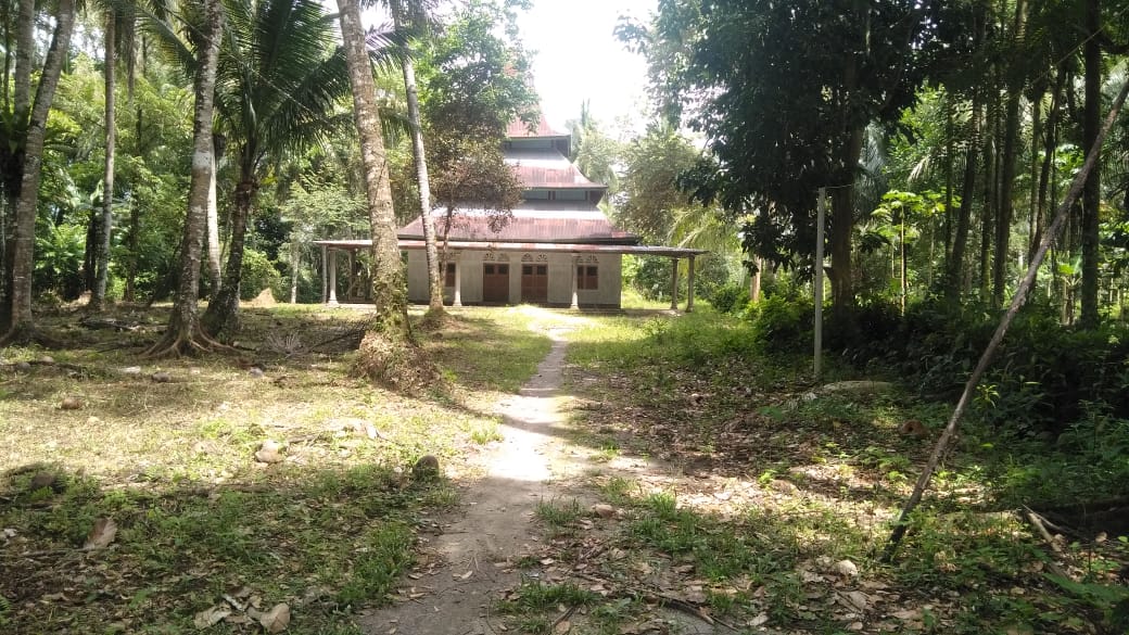 TAROK DALAM