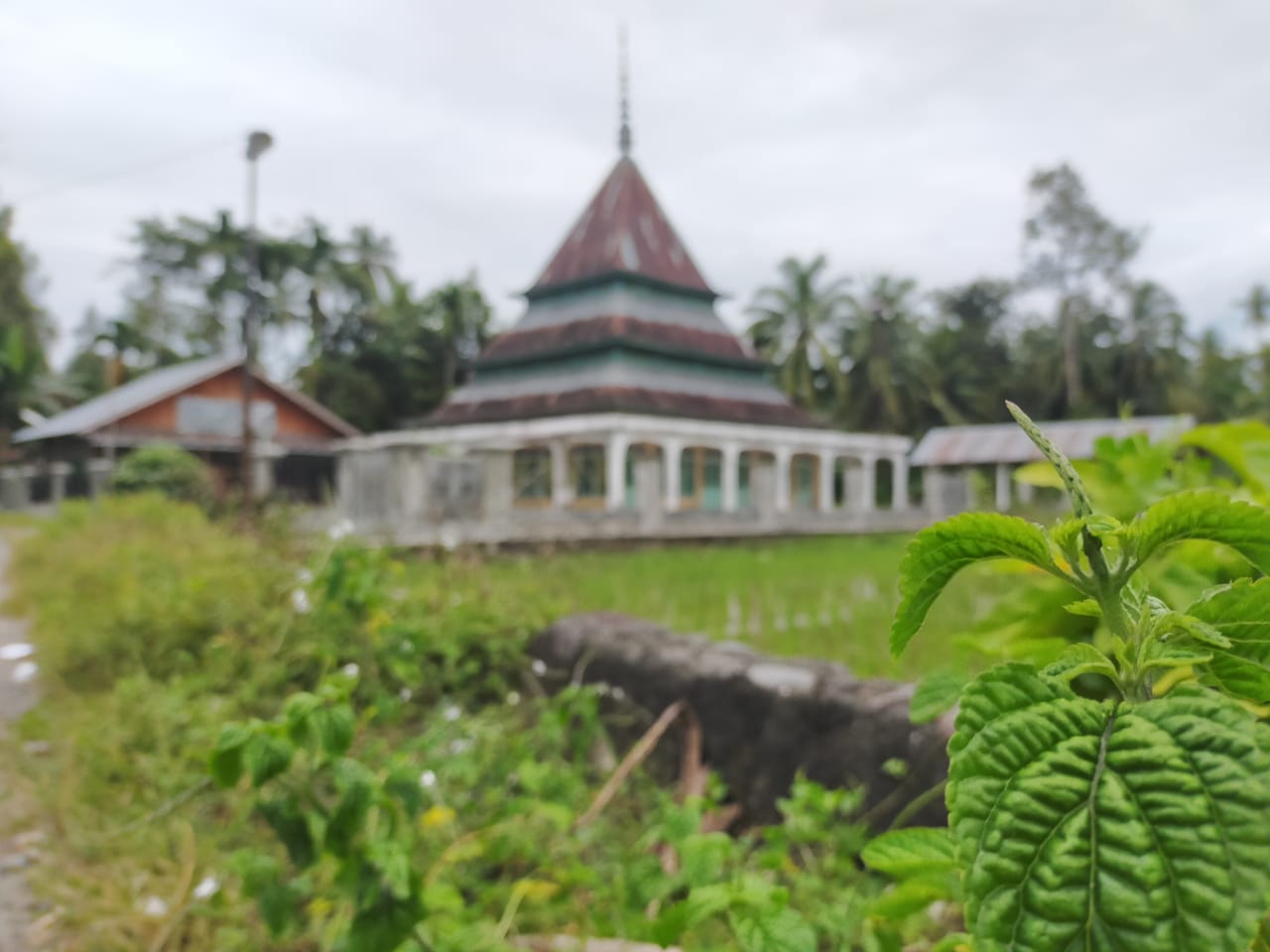 KP. TANJUNG