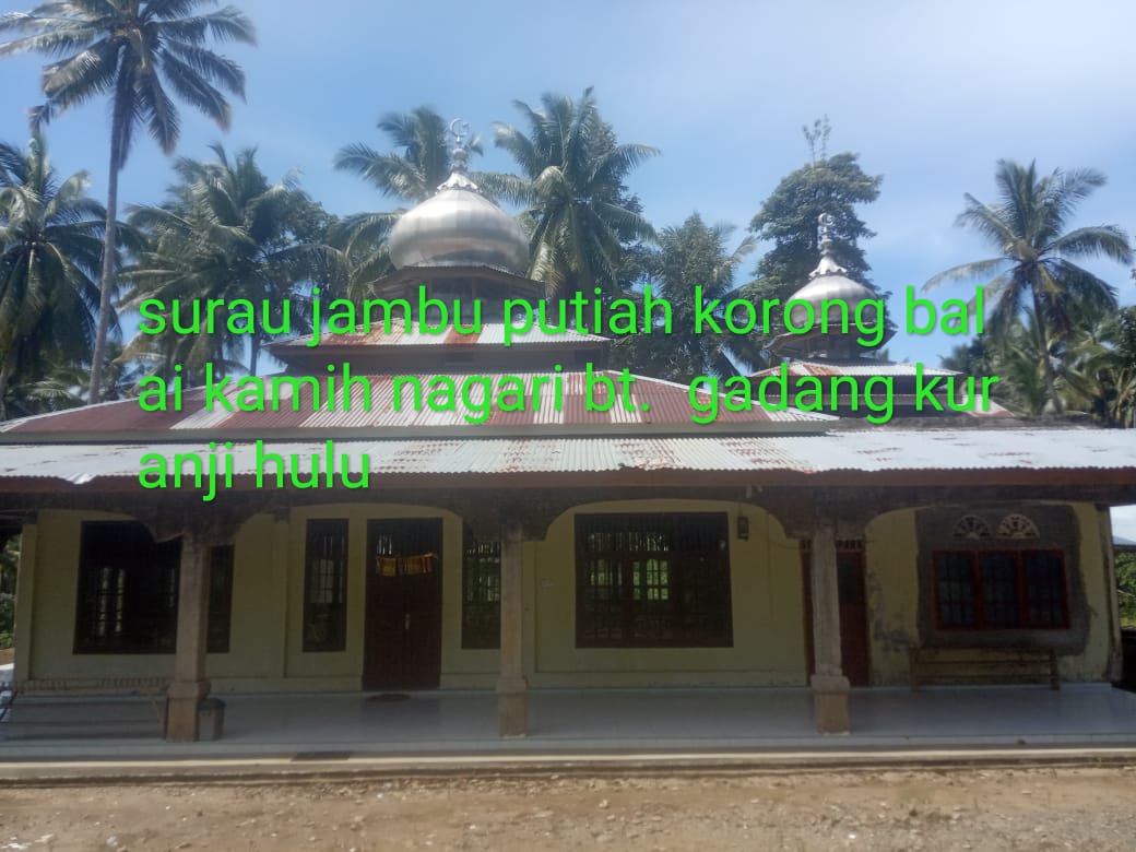 JAMBU PUTIH
