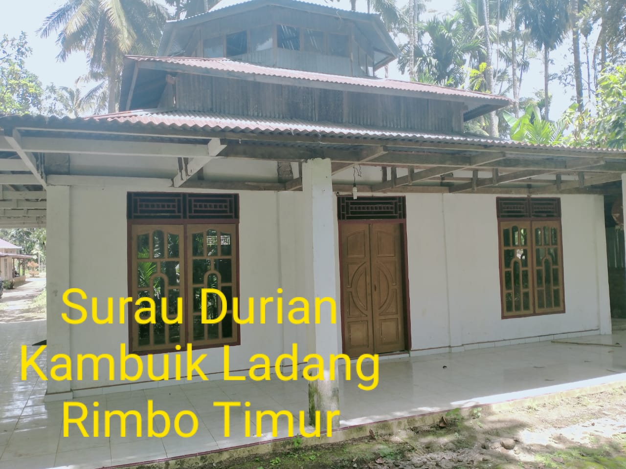 Durian Kambut