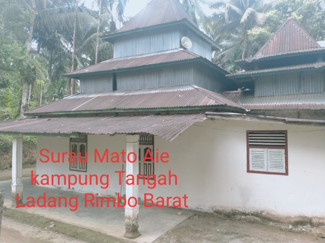 SURAU PANJANG TANGKAI
