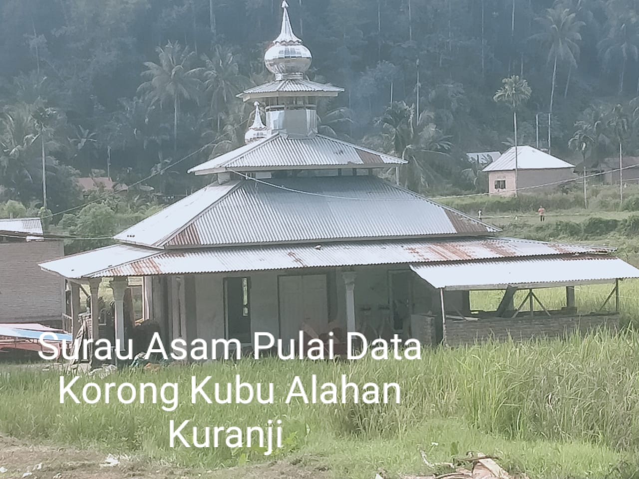 AS-AM PULAI