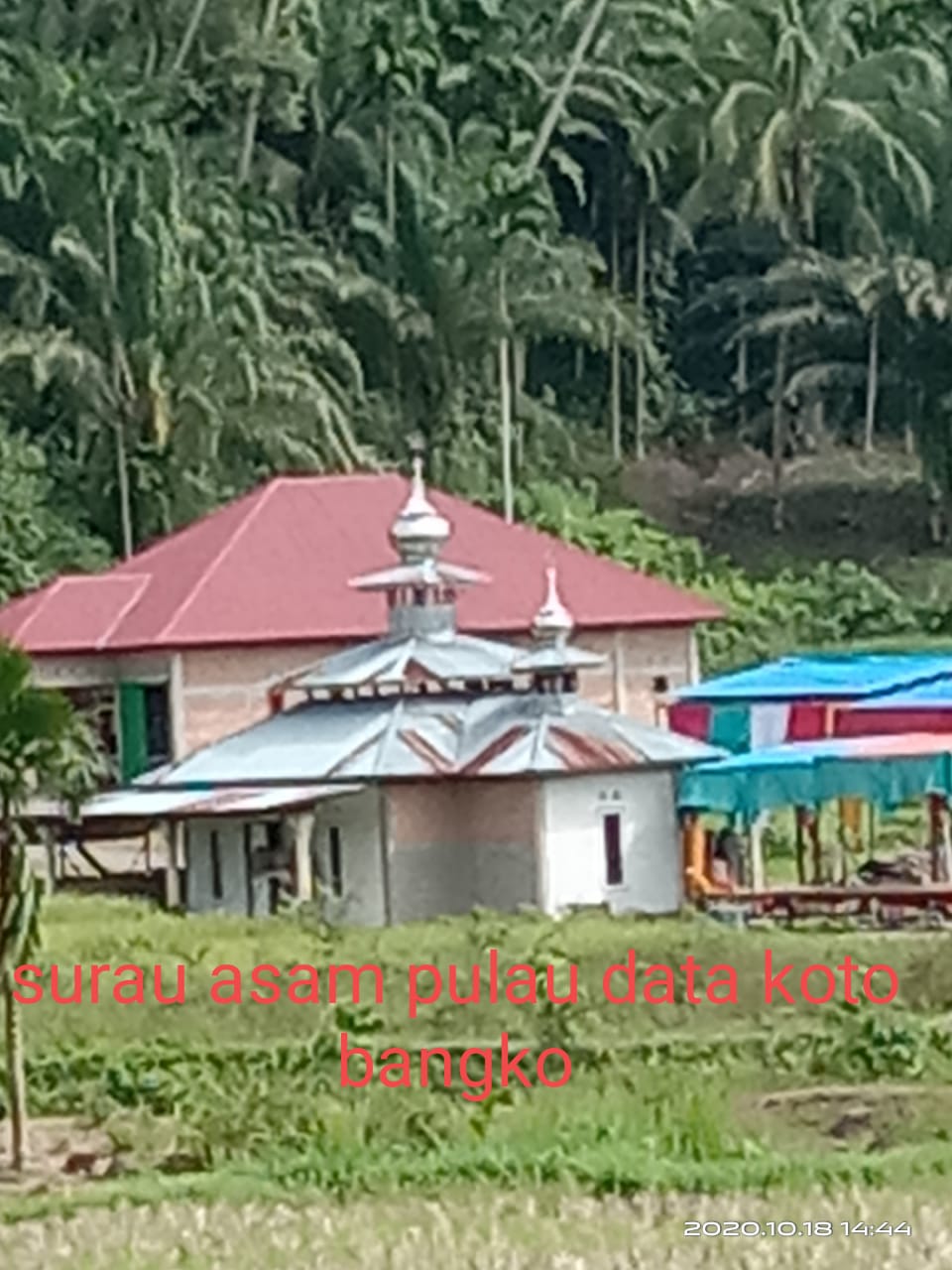 PULAU ASAM