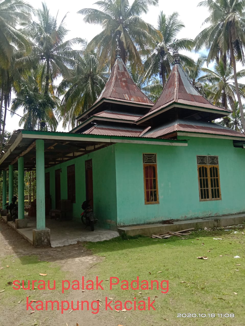 PALAK PADANG