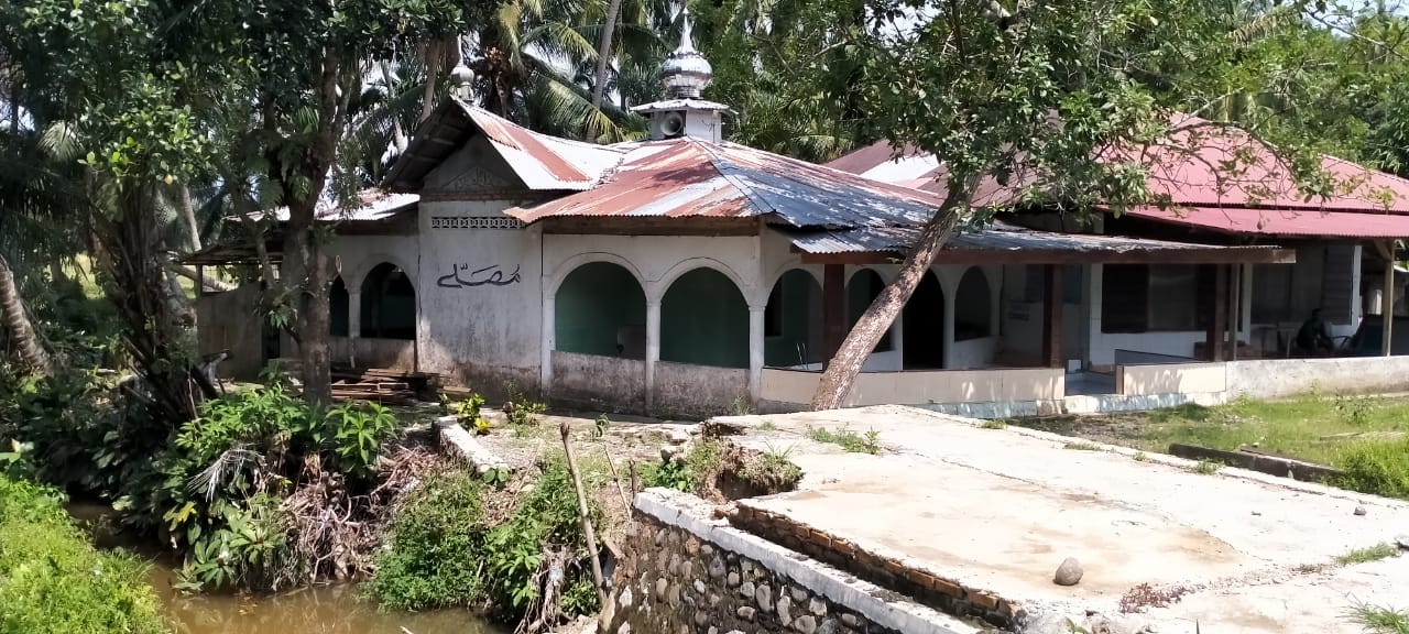 TAPI AIA JAUAH
