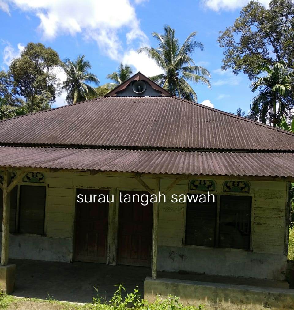 TANGAH SAWAH