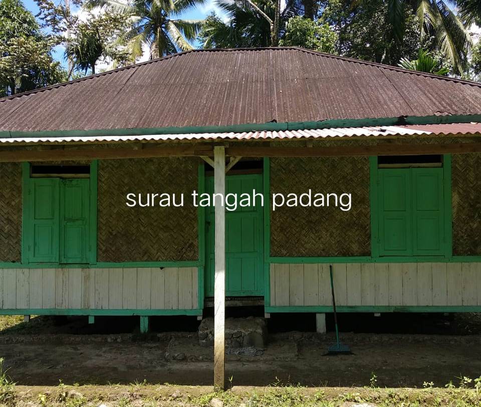 BUAH PALO