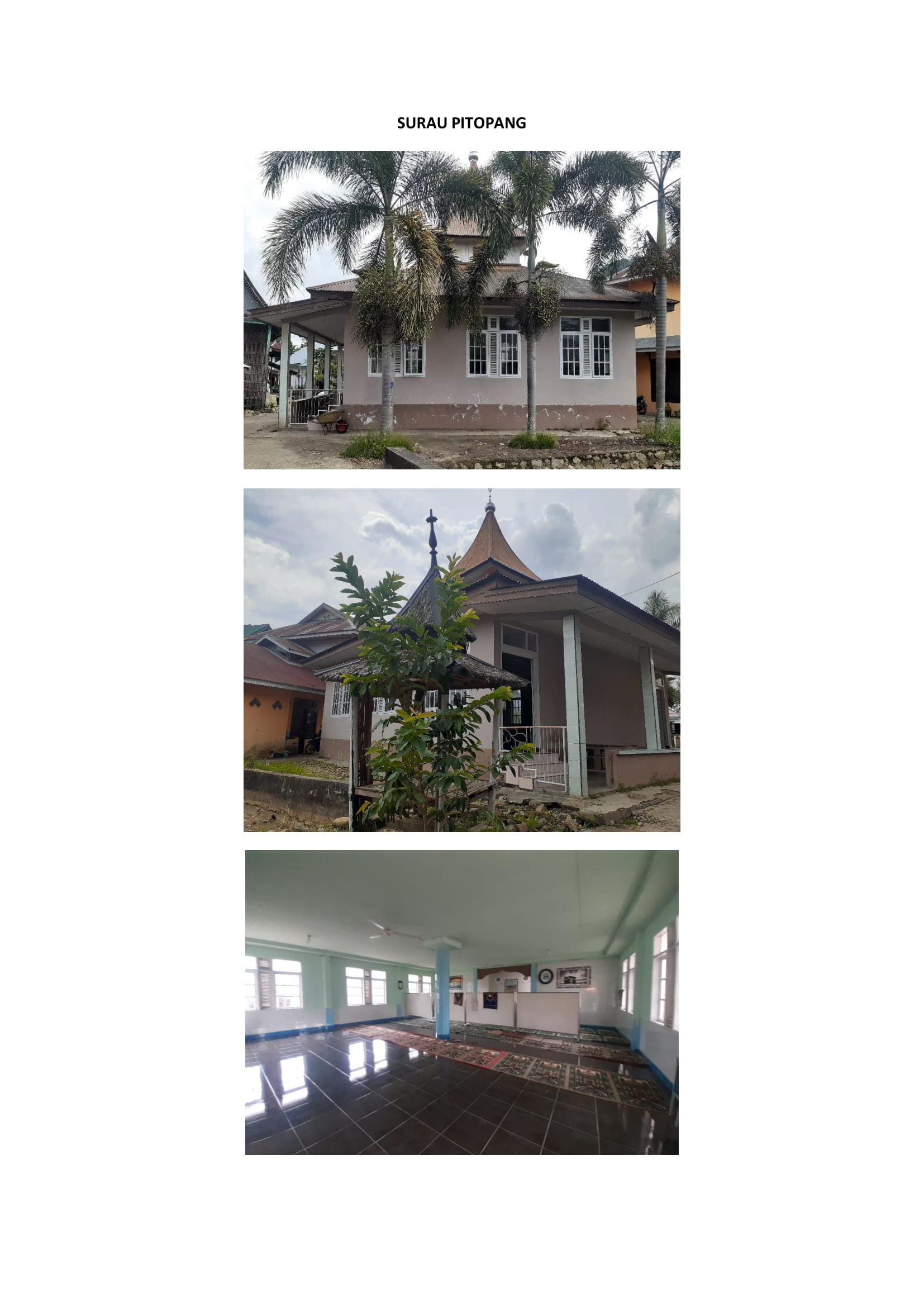 Pitopang