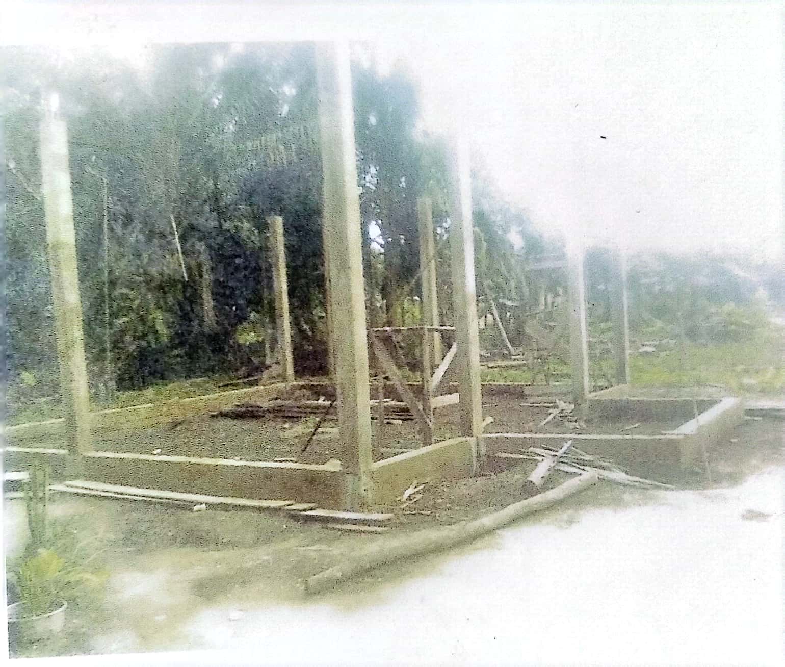 NURUL FALAH