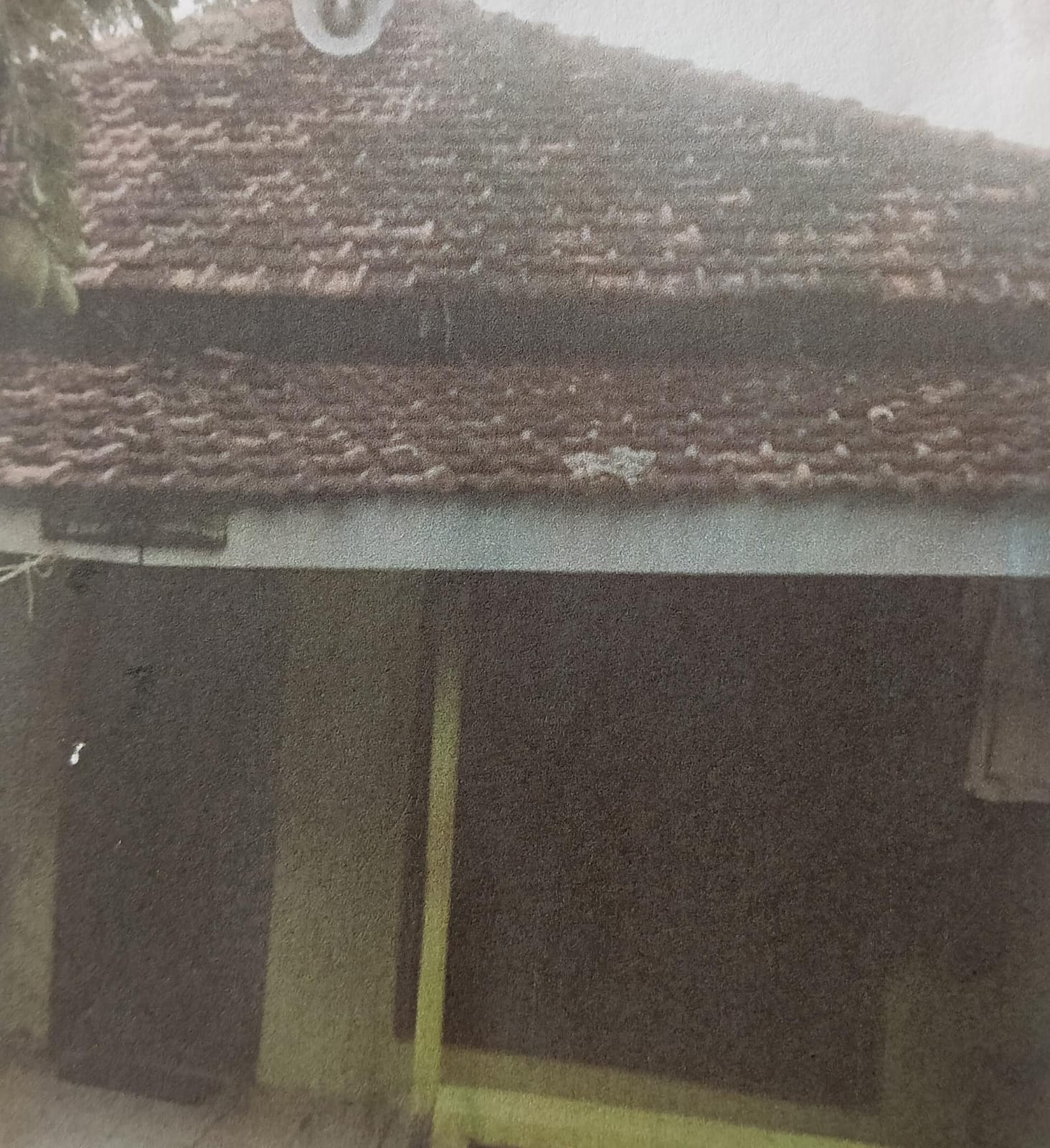 ROHMAUL ISTIQOMAH