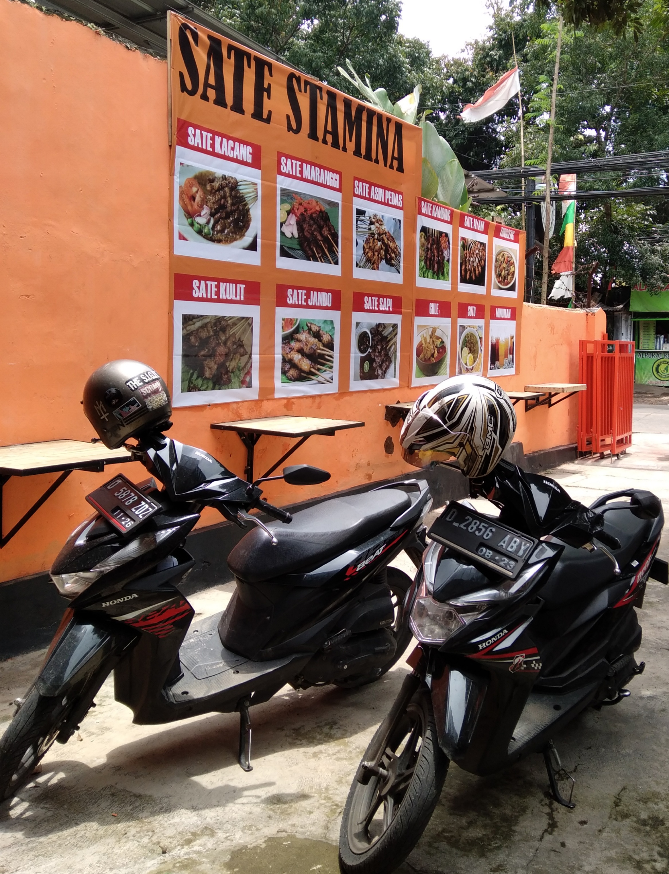 SATE STAMINA