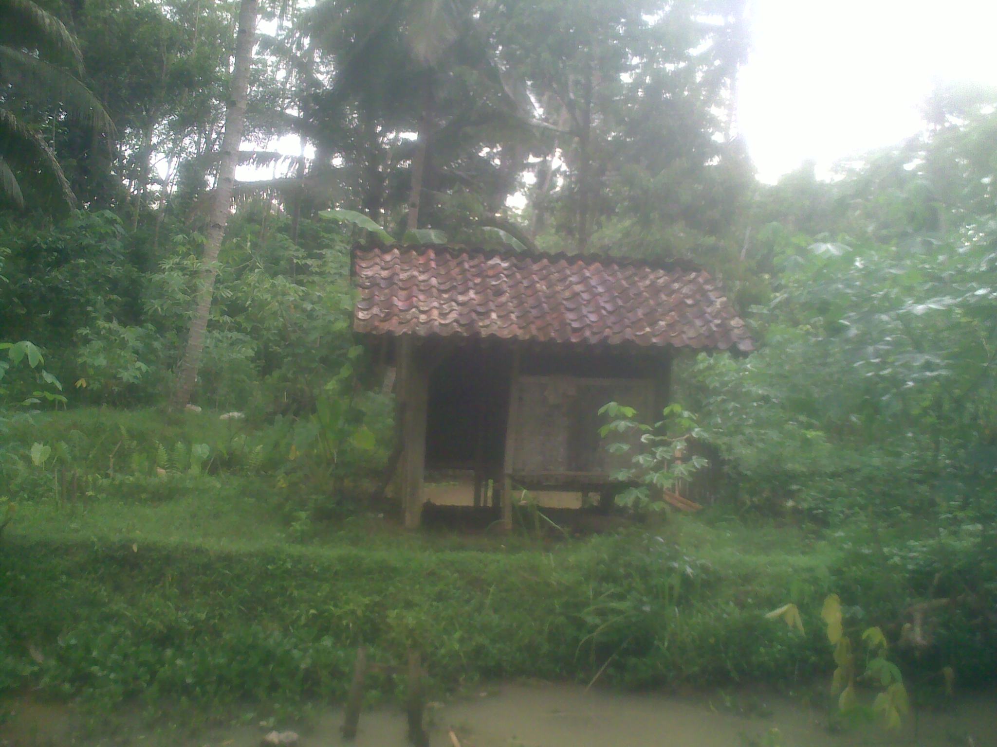 Kali Kwali