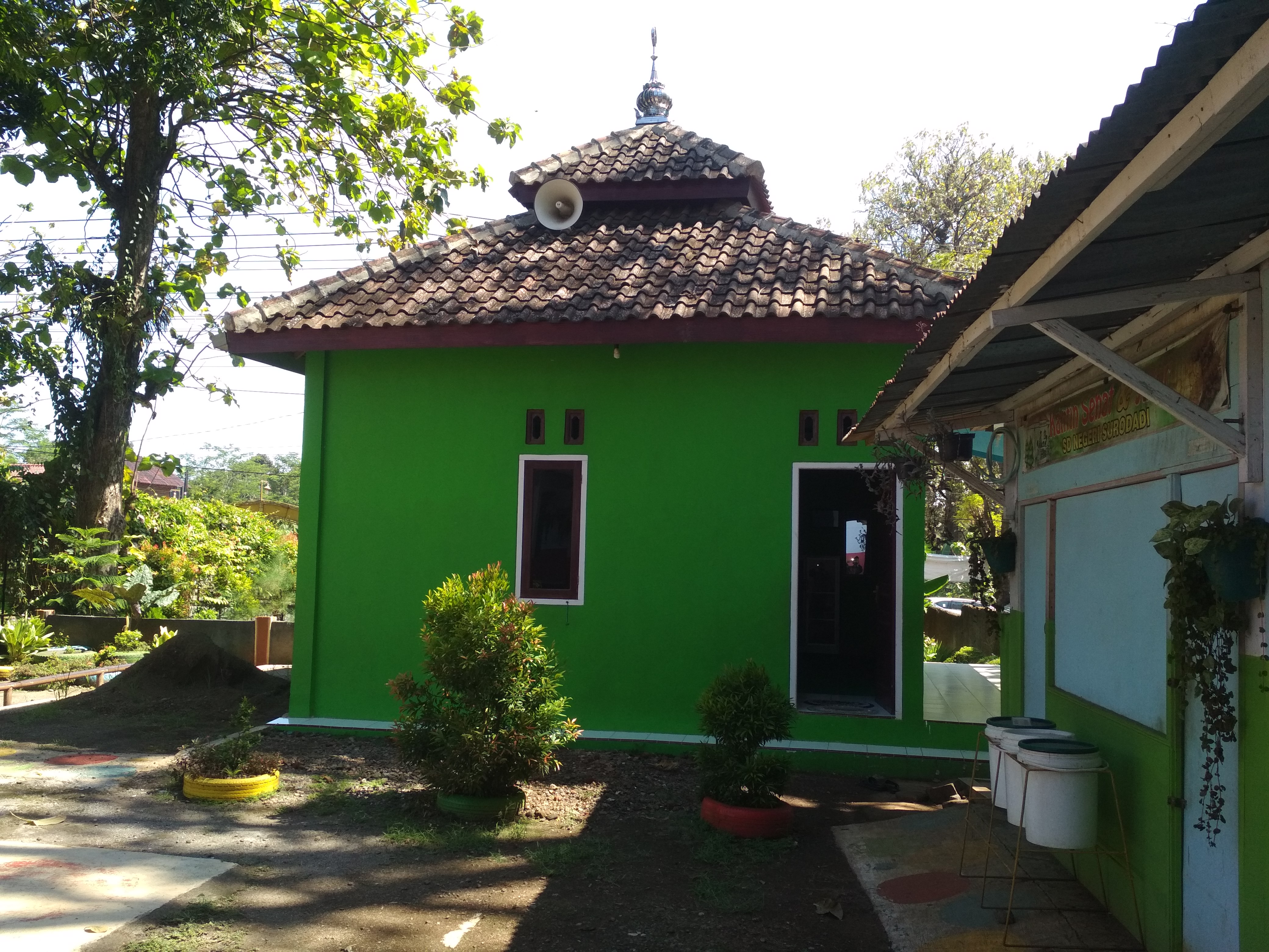 DARUL ULUM