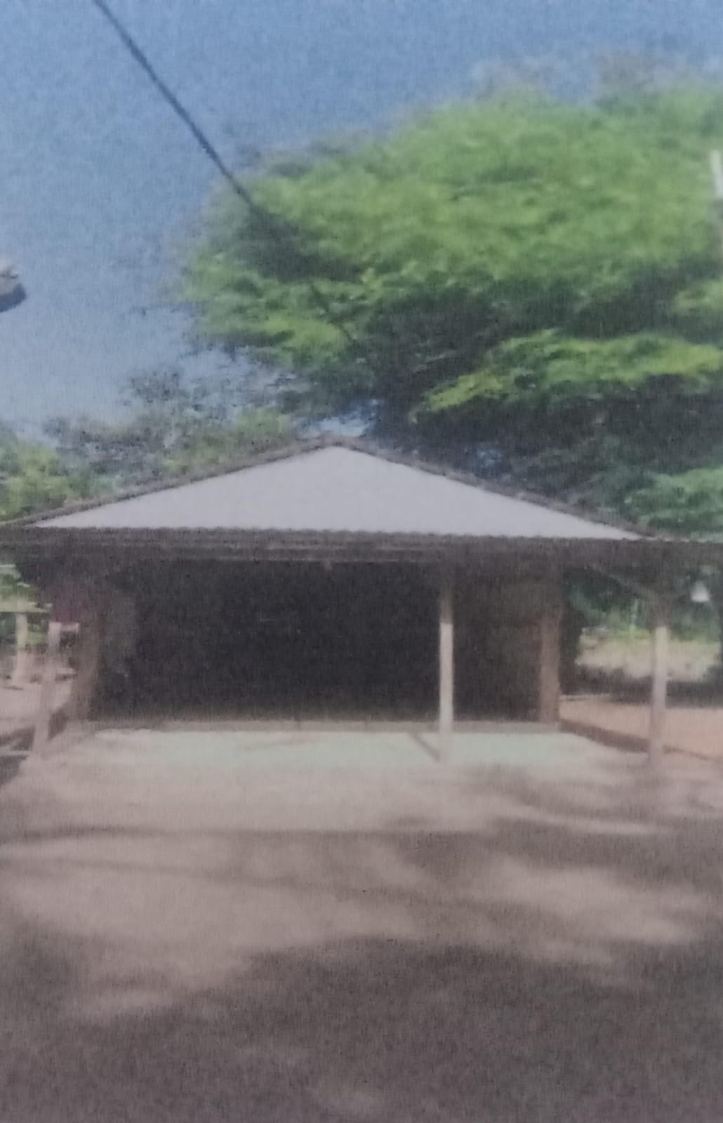 BUSTANUL FALAH