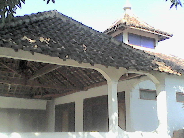 MUSHOLA RT 07