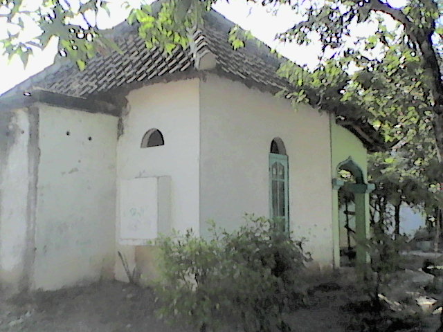 MUSHOLA RT 08