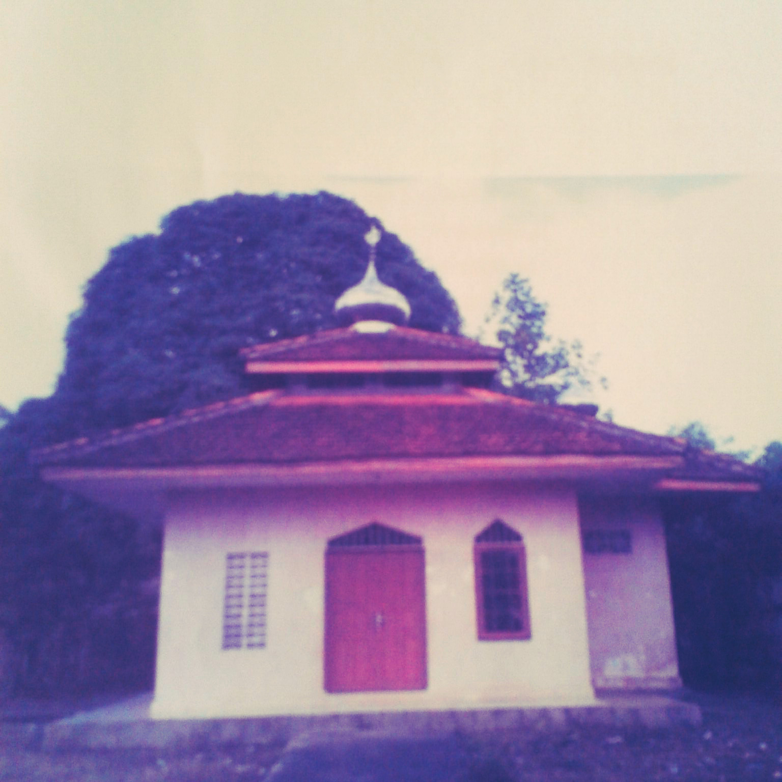 AL-HASANI