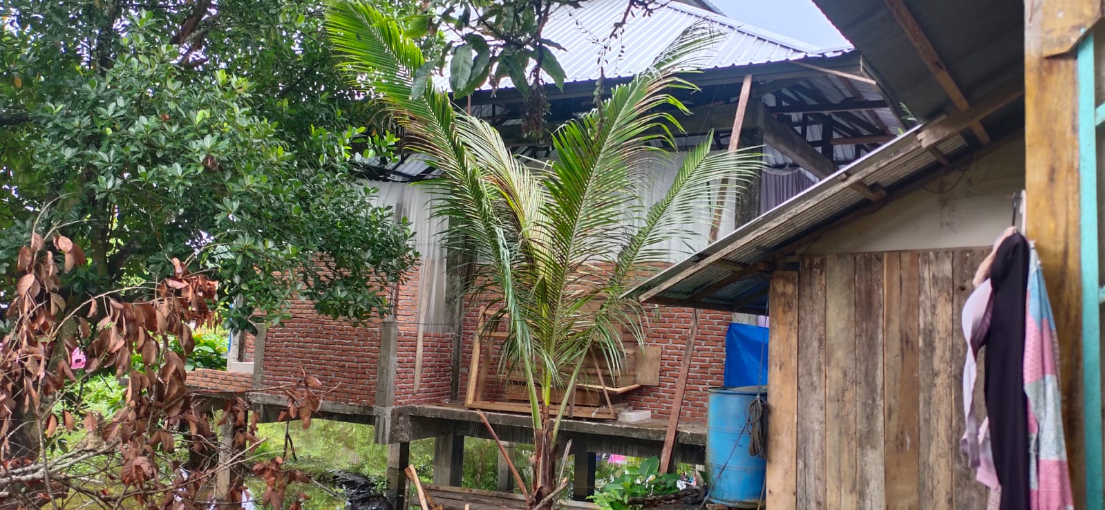 AZZAINI