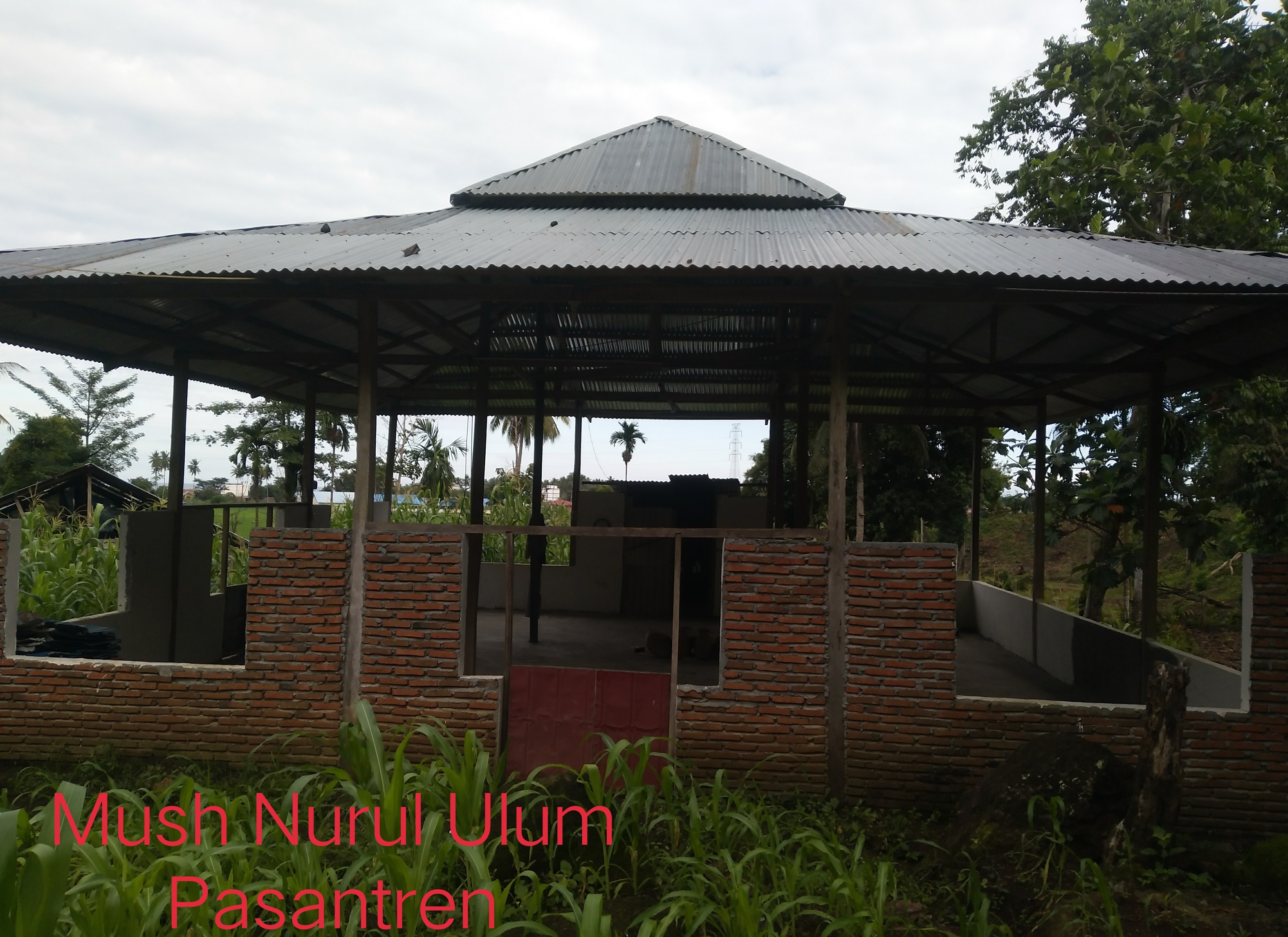 NURUL ULUM