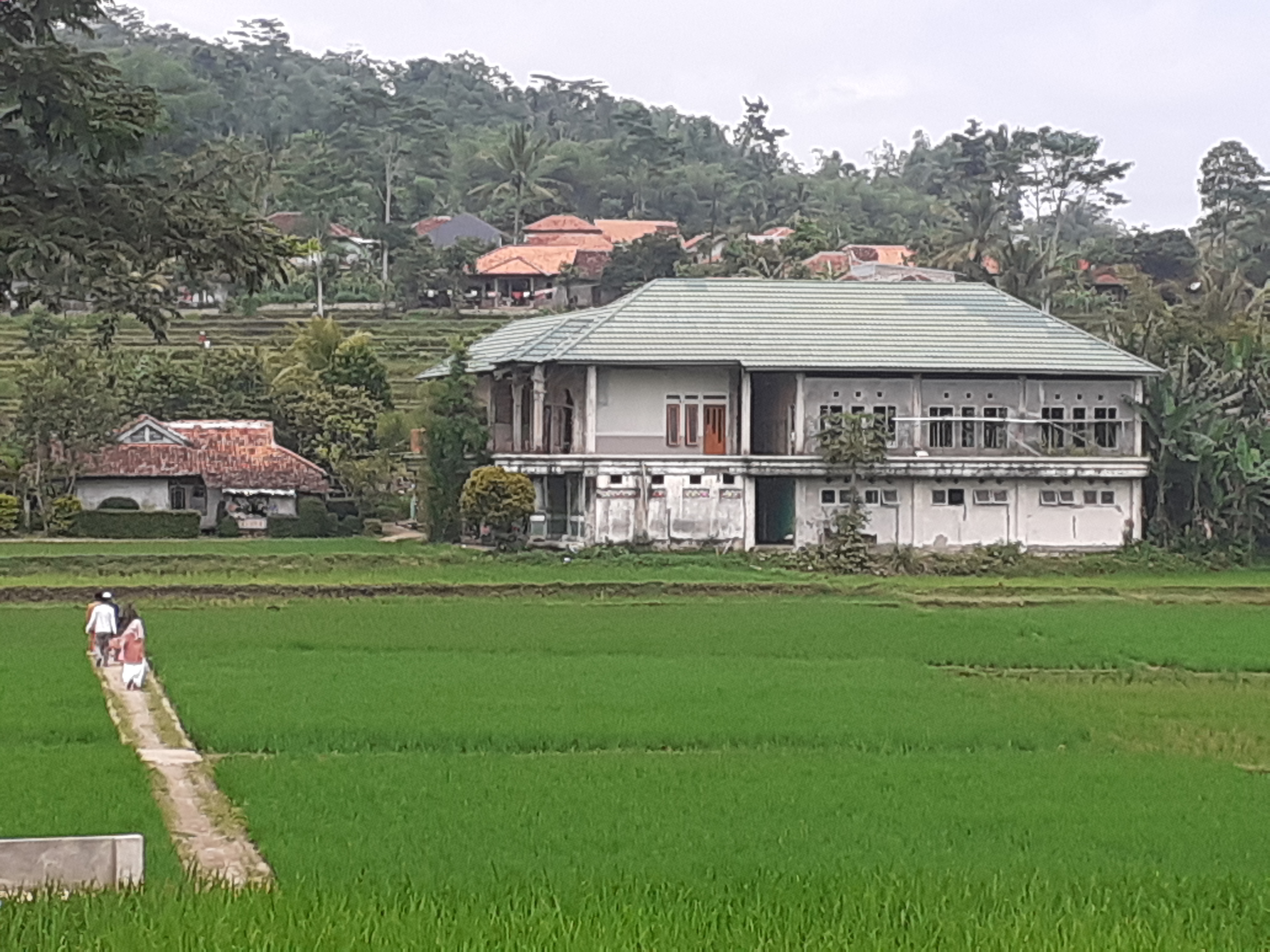 AL HILMANI FAUZAN